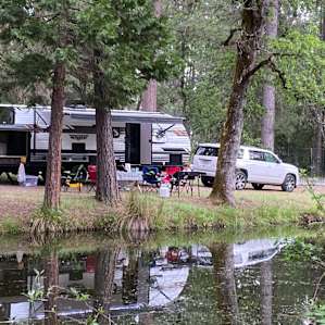 Camp Treefeathers