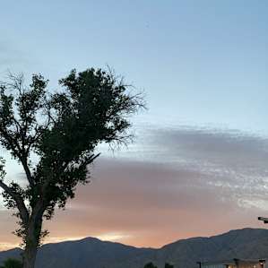 JT sunset