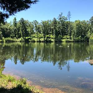 Serene swimming hole, crystal clear water. Refreshing in the hot sun