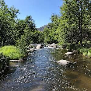 River Site Spider Camp