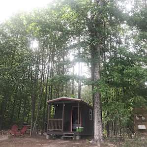 Off-Grid Cabin & Beach/Campsite