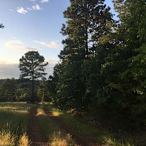 Off-Grid Camping