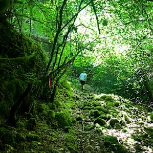 #8 Tent Camping Creek View