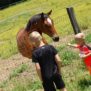 Rural & Rustic Horse Ranch