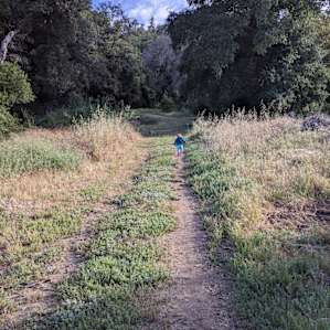 Our daughter, bookin’ it down the hill from our site. So stoked to be in the wild!