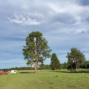 Beautiful and remote Bear Valley Cow Camp