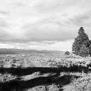 Bear Valley Cow Camp