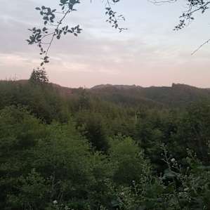 Wilderness Tent Sites