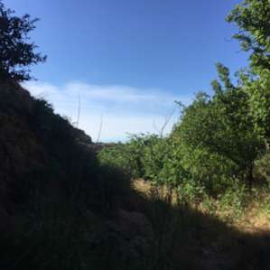 View from trails