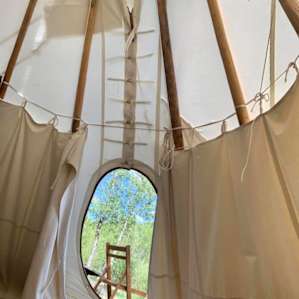 Views from inside the tipi.