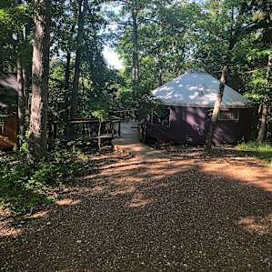 Mystical Yurt Floating in the Trees