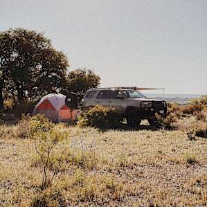Phrog and Munkey Camping