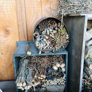 Garden Shed Farm Stay