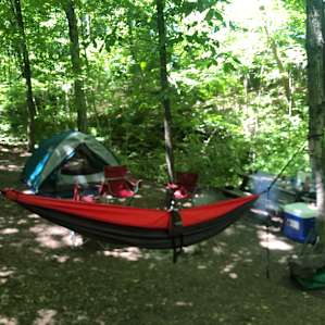 Great wooded spot & perfect for hammock loungin