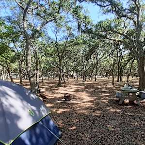 my campsite.