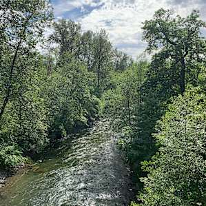 Cedar River from trail bridge