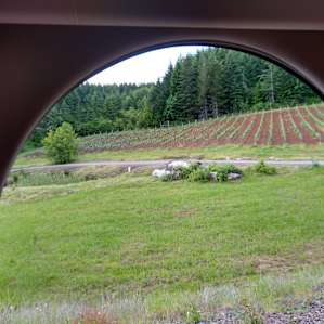 View from our camper