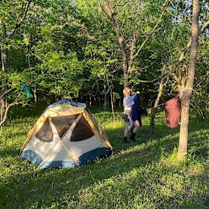Cute, forested campsite provides lots of natural privacy