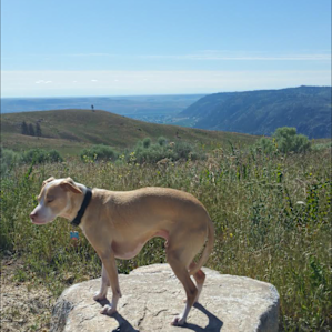 Rocks make great chairs and tables