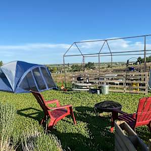 Great amenities onsite