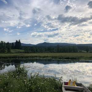 Camp by the pond