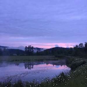 Camp by the pond