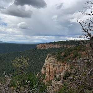 View on one of the hikes.