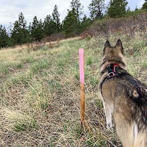 Watch for trail markers.