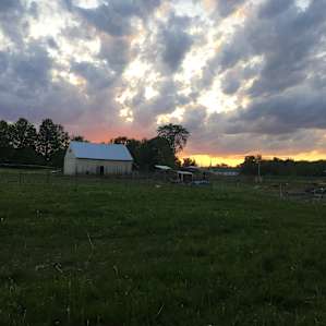 Howling Goat Farm