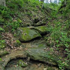 Some cool spots in the creek towards the top of the main woods!