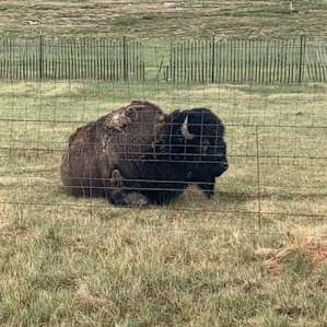 Ded Tick Ranch SOUTH