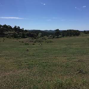 We Have 15 Beautiful Camp Sites