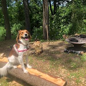 Djinn absolutely loved her first camping experience! Look at that smile!