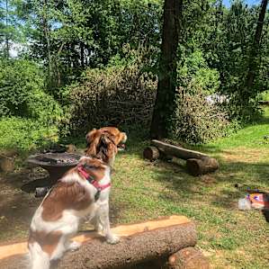 We all loved these cute handmade wood benches at our campsite in addition to our picnic table.