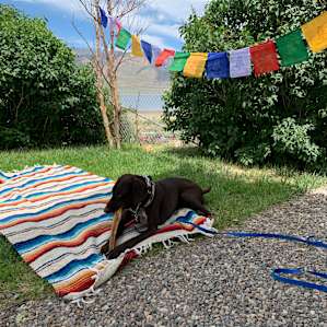 Relaxing at camp