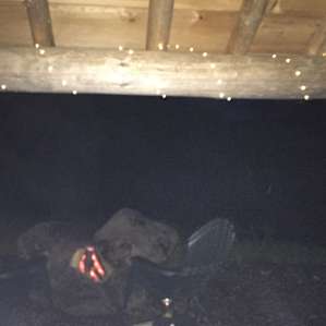 Overlook Lean-to
