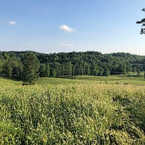 Great vista from top of the meadow