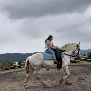Curly Horse Campground