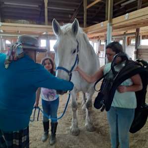 Curly Horse Campground