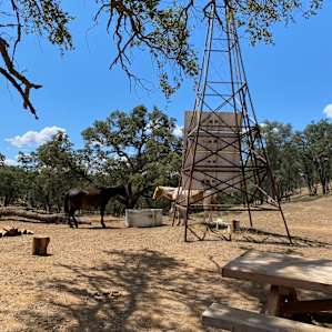 View of campsite