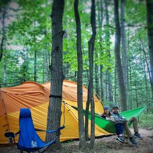 Tent Camping In The Woods