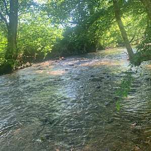 Creek behind tent