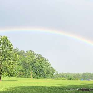 View from campsite, after quick rainstorm.