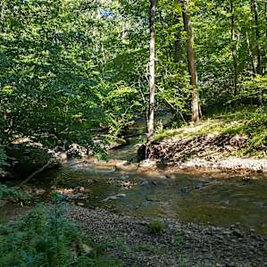 Creek Side Escape