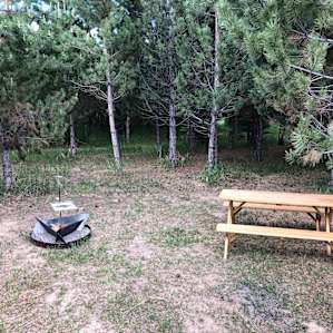 Fire pit and picnic area