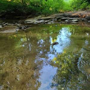 More pics of creek