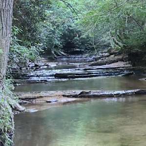 Beautiful peaceful creek nearby