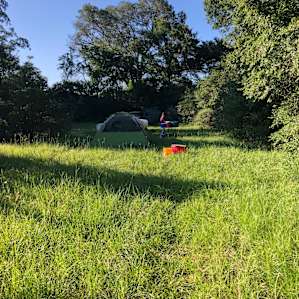 Hollydew Farm
