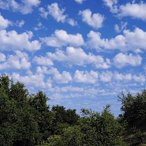 view from the yurt's deck