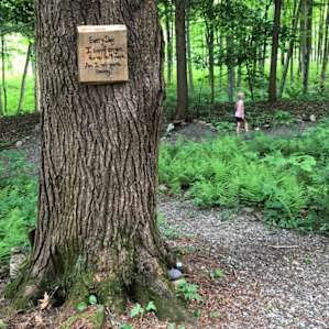 Fairy trail